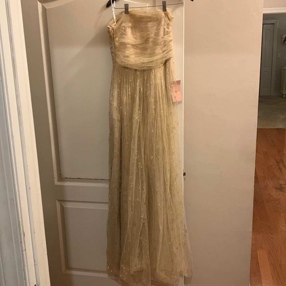 Joanna august champagne star dress, in great condition never warn, size 10